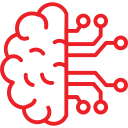 brain